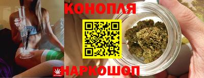 гидра Кулебаки