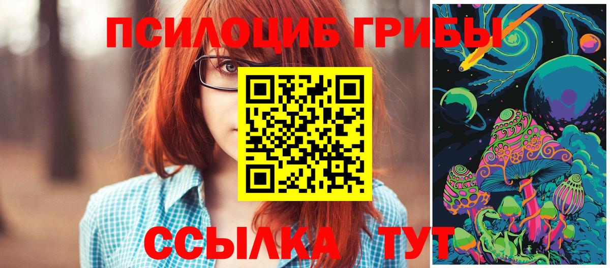 Псилоцибиновые грибы GOLDEN TEACHER Димитровград